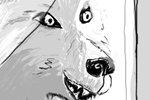 wolf at the door