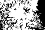 fall winds
