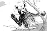 three bears